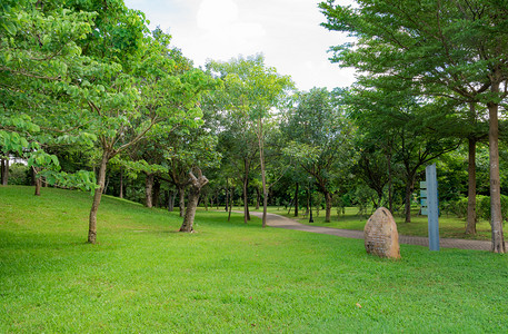 草地城市摄影照片_城市绿化树木植物风景摄影图配图