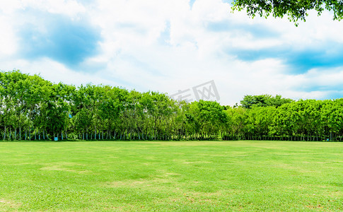 森林装饰植物边框摄影照片_绿化草地蓝天白云摄影图配图