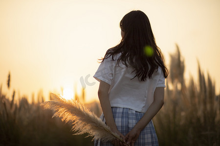 女孩背影下午女孩芦苇荡无摄影图配图