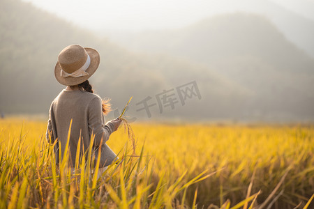 美女头像图案摄影照片_温州泽雅田里女子背影下午女子田里无摄影图配图