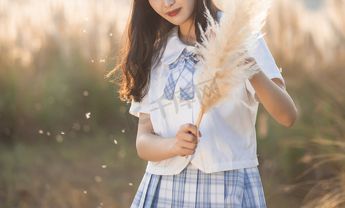 桌面壁纸可爱摄影照片_芦苇荡里的女子下午女孩芦苇荡无摄影图配图