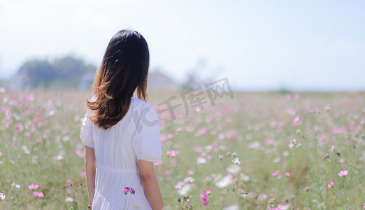 鲜花美女摄影照片_花海里的女孩背影下午女孩田里无摄影图配图