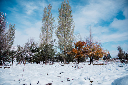 小雪印章摄影照片_雪山白天雪山户外无摄影图配图