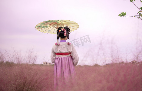 古风可爱摄影照片_粉黛草里的女子下午女子田里无摄影图配图