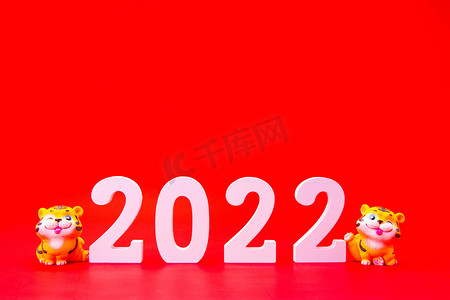 虎虎年摄影照片_虎年2022老虎室内新年摄影图配图