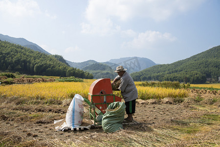 打稻谷摄影照片_温州市泽雅农村田里收割的农民下午农民田里无摄影图配图