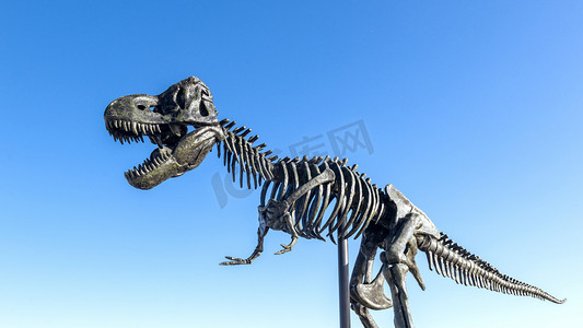 二连盆地白垩纪恐龙国家地质公园上午恐龙秋季素材摄影图配图