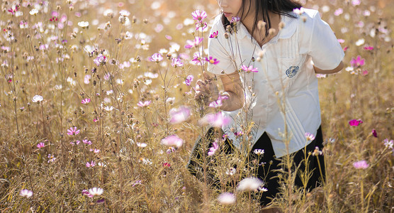 温柔姐姐摄影照片_花海里的女孩下午女子花海无摄影图配图