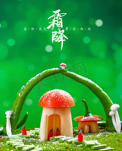 中国传统节气摄影照片_蔬果霜降有机蔬菜二十四节气创意摄影图配图
