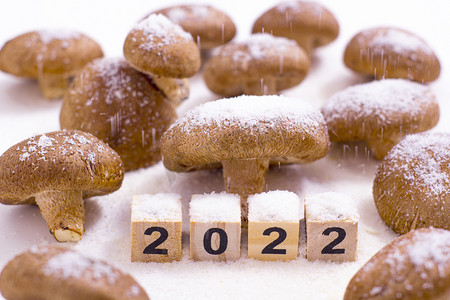 跨年2022摄影照片_食材原料雪蘑菇24节气小雪2022摄影图配图