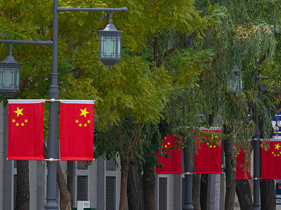 国旗合集摄影照片_国庆节林荫道国旗白天五星红旗马路边展示摄影图配图