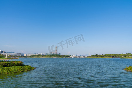 深圳城市人才公园湖景风光摄影图配图
