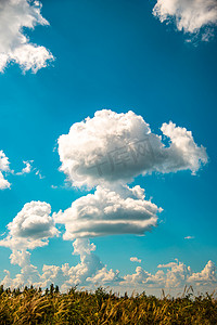 云下午云彩风景静物摄影图配图