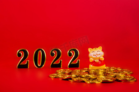 2022年新春摄影照片_2022虎年老虎红色背景摆放摄影图配图