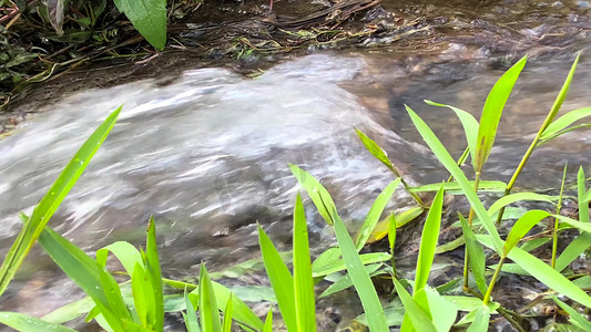 山间泉水摄影照片_自然风景山间泉水溪流流水