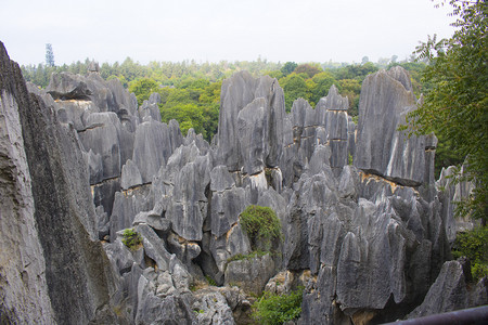 石林景区摄影照片_云南石林风景区白天石头户外观景摄影图配图