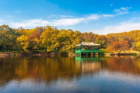 南京钟山风景名胜区深秋流徽榭风光中景摄影图配图