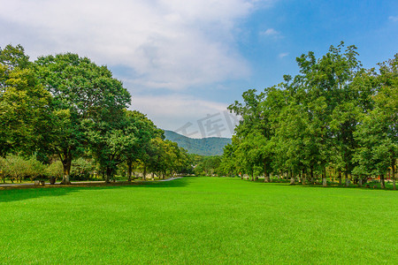 南京钟山风景名胜区明孝陵草坪远眺钟山摄影图配图