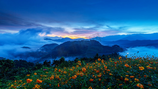 旅游晨时鲜花山区摇动摄影图配图