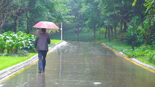 下雨打伞摄影照片_雨中孤独打伞的中年背影