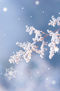 雪黑白摄影水墨冬天雪山蓝紫梦幻冬天雪山蓝色温馨背景冬天雪花蓝色温