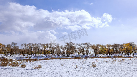冬天素材摄影照片_雪地风景上午雪地入冬素材摄影图配图
