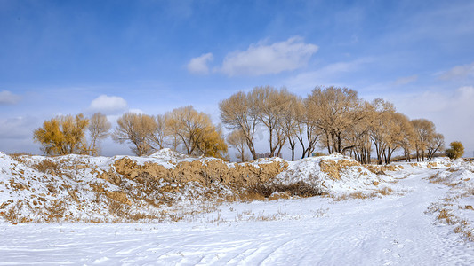 重阳节素材背景摄影照片_树木雪地景观上午雪地入冬素材摄影图配图