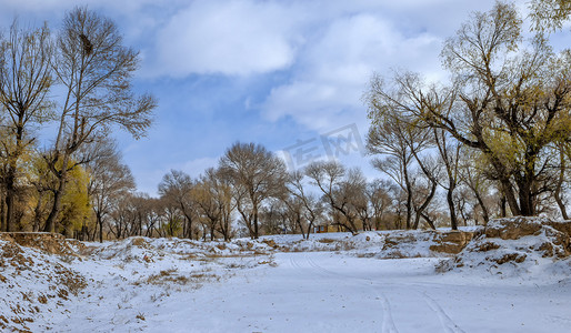 冬天素材摄影照片_树木雪景上午雪地入冬素材摄影图配图