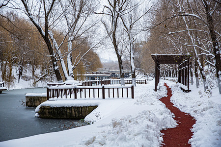 东北大雪雪后大雪小路雪景清扫小路摄影图配图