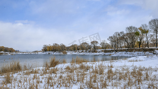 呼和浩特入冬雪景上午植被入冬素材摄影图配图