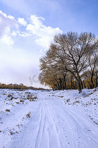 雪地树木雪景上午雪地入冬素材摄影图配图