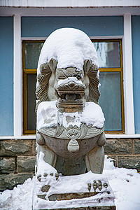 辽宁雪摄影照片_冬日大雪百年一遇下雪街道石狮子摄影图配图