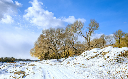 内蒙古雪景摄影照片_入冬山村雪景上午树木入冬素材摄影图配图