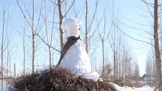 大雪江摄影照片_河北中午雪人树林堆雪人摄影图配图