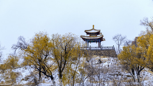 大雪小雪摄影照片_公园雪景上午树木入冬素材摄影图配图