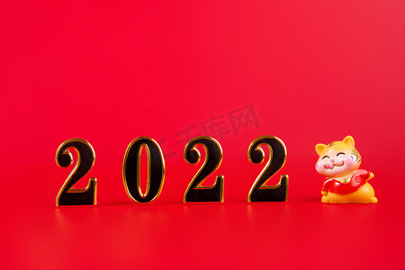 元旦狂欢红色摄影照片_春节过年2022红色背景摆放摄影图配图