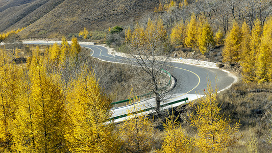 山区公路秋色上午公路秋季素材摄影图配图