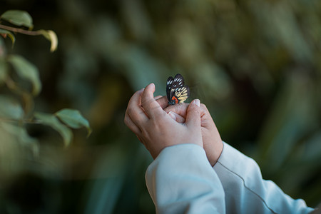 大自然蝴蝶白天停在手上的蝴蝶户外抓蝴蝶摄影图配图