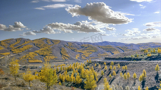 山区秋色公路上午彩林秋季素材摄影图配图