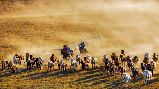 秋季清晨马匹草原奔跑摄影图配图