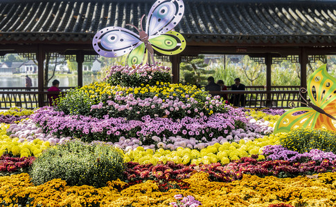 武汉菊展白天菊花造型室外全景摄影图配图