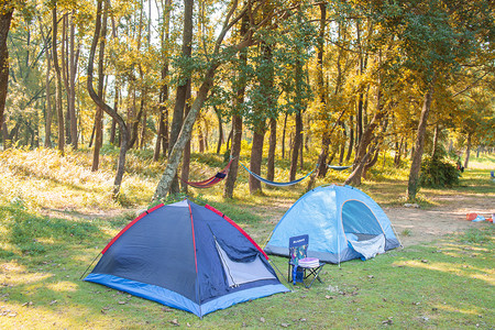 温州永嘉树林里的帐篷下午帐篷树林无摄影图配图
