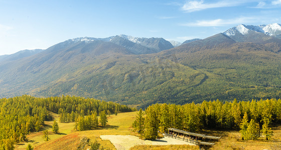 高山摄影照片_喀纳斯白天高山森林秋天全景摄影图配图