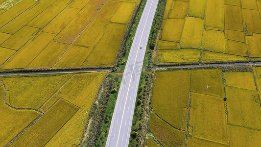 振兴美丽乡村摄影照片_公路风光美丽稻田