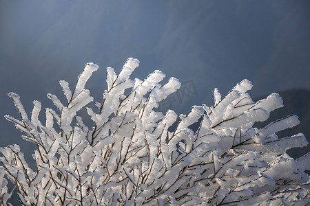 雪摄影照片_金鸡山冰雪下午冰雪山上无摄影图配图