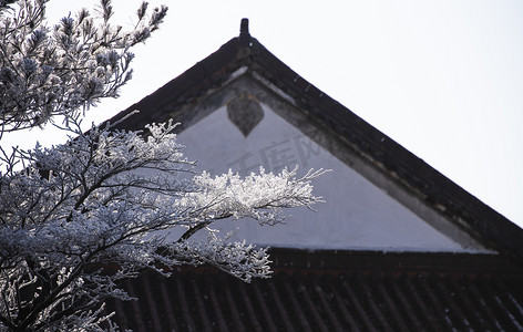 雪屋檐摄影照片_树上的冰雪下午冰雪寺庙无摄影图配图