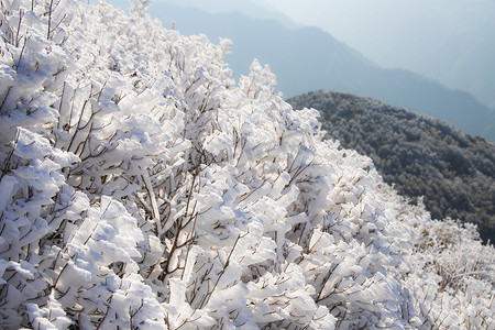 金鸡山冬天雪山下午雪山山上无摄影图配图