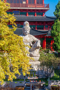 南京毗卢寺万佛堂佛像与银杏摄影图配图