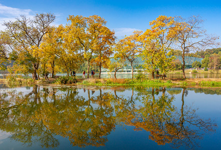 南京中山植物园前湖秋色摄影图配图