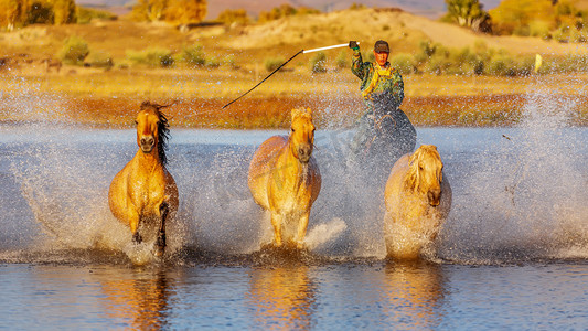 马匹早上马草原奔跑摄影图配图